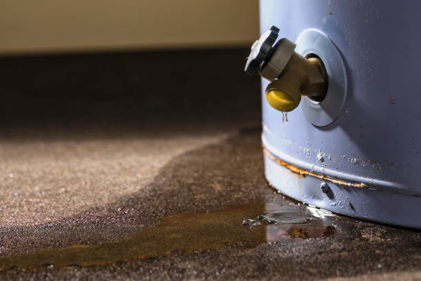 Best Flooded house restoration  in Wenatchee, WA