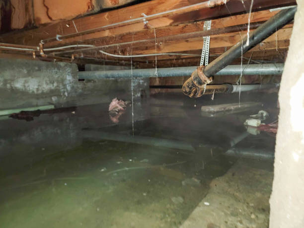 Best 24-hour water damage restoration  in Wenatchee, WA