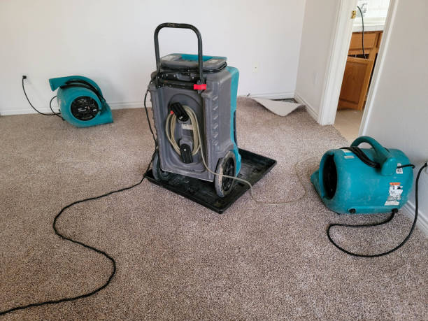 Best Fire Damage Restoration  in Wenatchee, WA