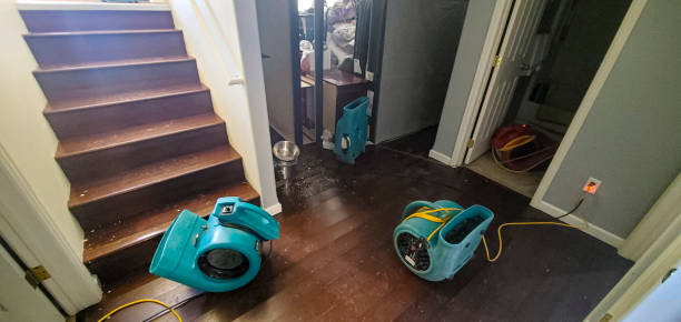Best Local water damage restoration  in Wenatchee, WA