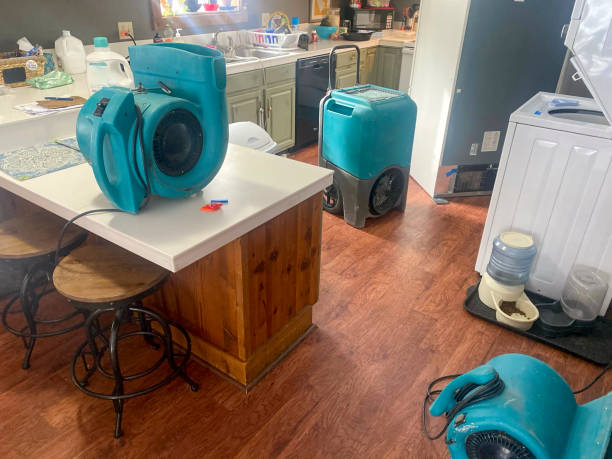 Best Mold removal after water damage  in Wenatchee, WA