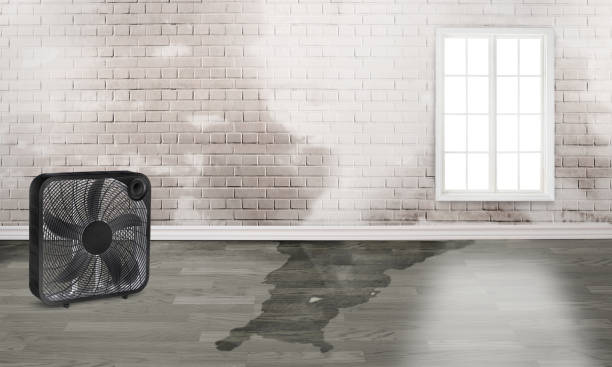 Best Water damage restoration process  in Wenatchee, WA