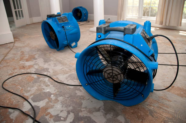Trusted Wenatchee, WA Water damage restoration Experts