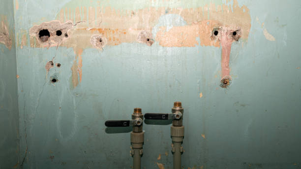 Best Water damage cleanup near me  in Wenatchee, WA