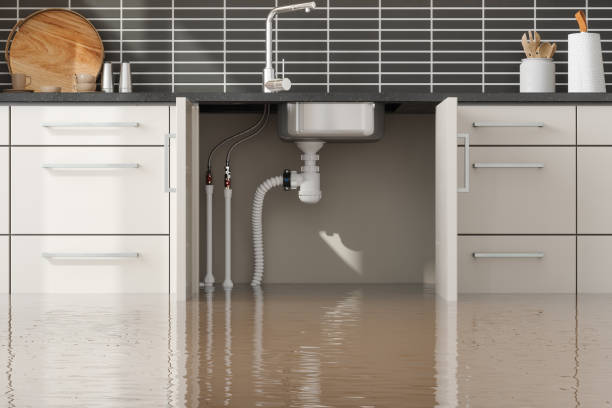 Best Sewage cleanup and water damage restoration  in Wenatchee, WA