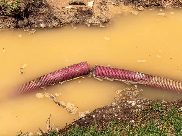 Best Basement water damage restoration  in Wenatchee, WA